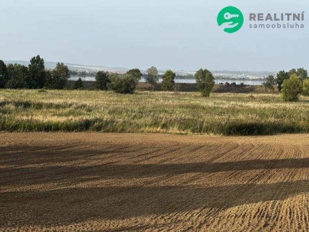 Prodej pole, Pavlov, 6292 m2
