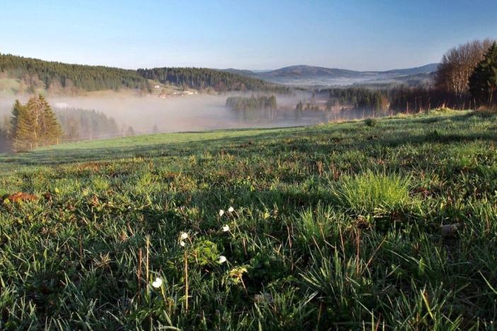 Prodej pozemku pro bydlení, Stožec - České Žleby, 1412 m2