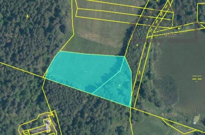 Prodej pole, Nová Ves, 10813 m2