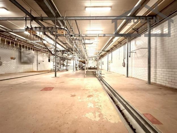 Pronájem komerční nemovitosti, Lom u Tachova, 50921 m2