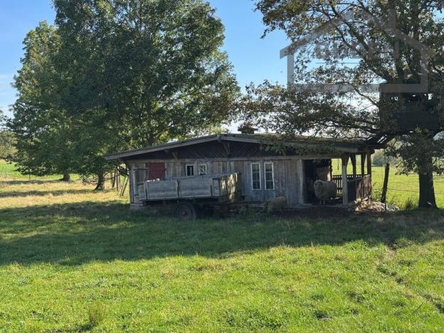 Prodej vícegeneračního domu, Bor - Kosov, 7880 m2