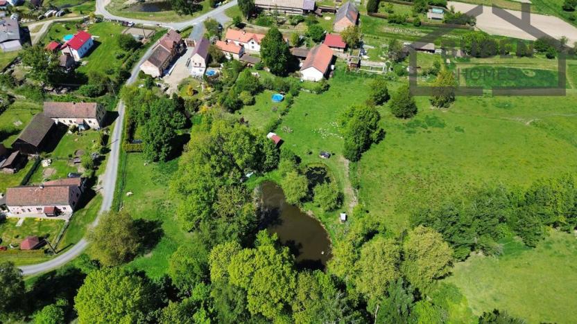 Prodej vícegeneračního domu, Bor - Kosov, 7880 m2