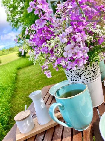 Prodej chaty, Černošín, 718 m2