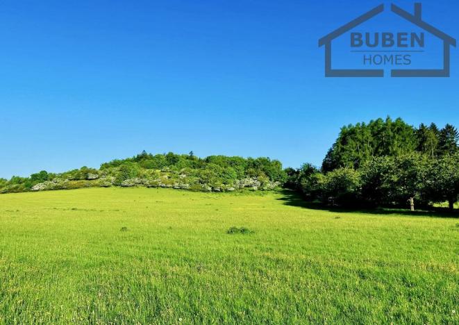 Prodej chaty, Černošín, 718 m2