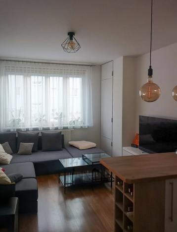 Pronájem bytu 2+kk, Praha - Střešovice, Patočkova, 48 m2