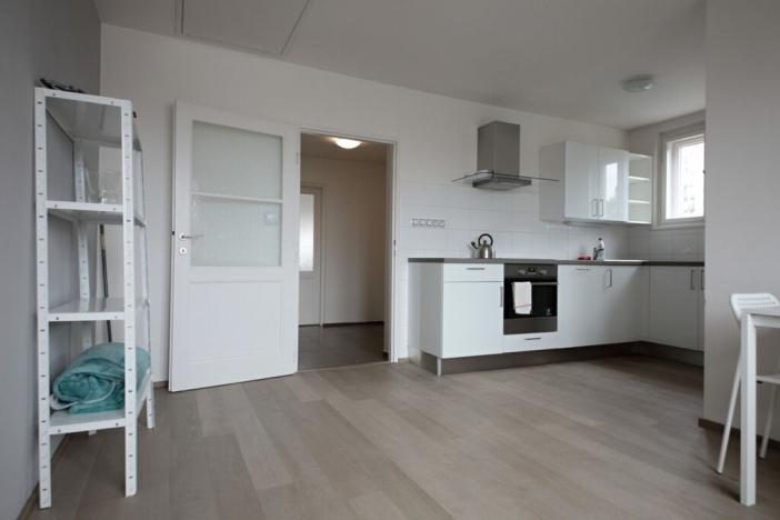 Prodej bytu 2+kk, Praha - Vinohrady, Irkutská, 70 m2