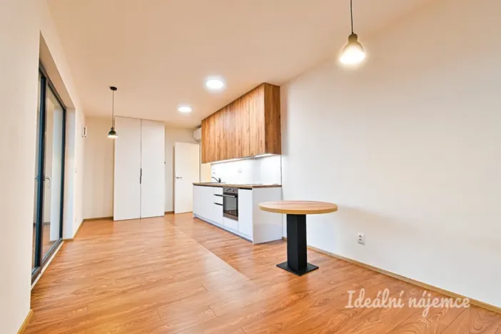 Pronájem bytu 1+kk, Brno, Bratislavská, 33 m2