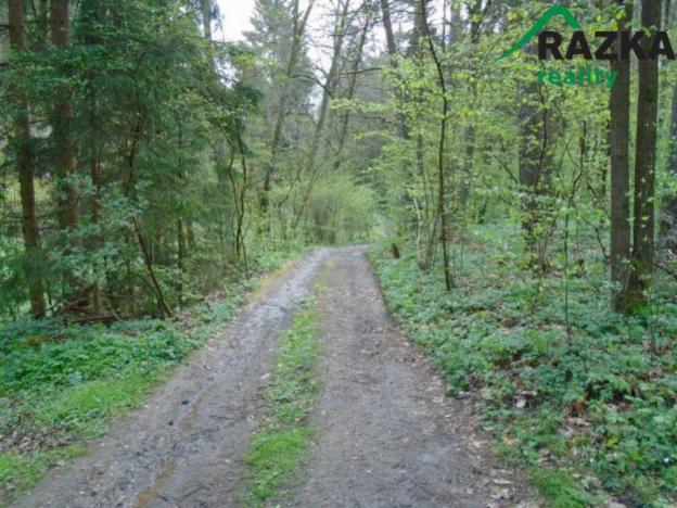 Prodej chaty, Erpužice - Malovice, 26 m2