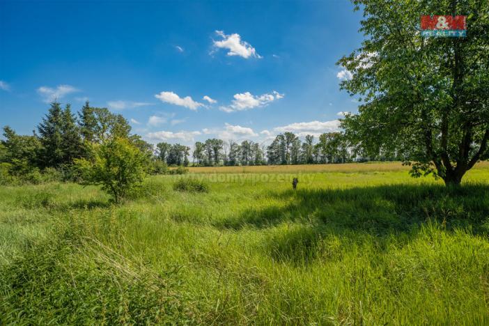 Prodej pozemku pro bydlení, Loucká, 1342 m2