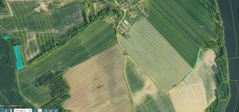 Prodej lesa, Hluboká nad Vltavou - Jeznice, 8349 m2