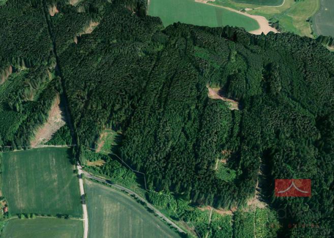 Prodej lesa, Křeč, 38985 m2