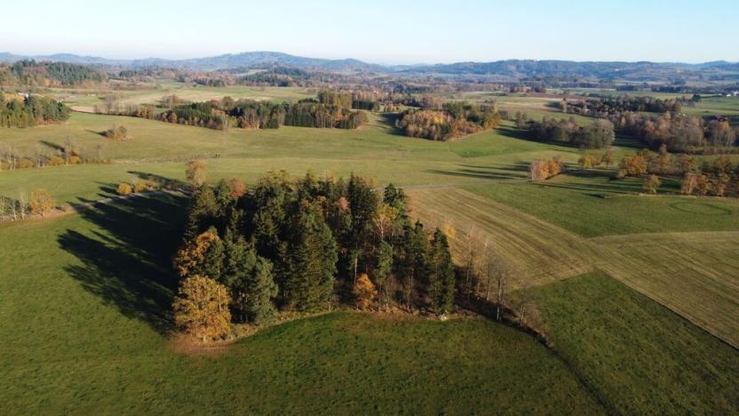 Prodej pozemku pro bydlení, Kolinec - Tržek, 1688 m2