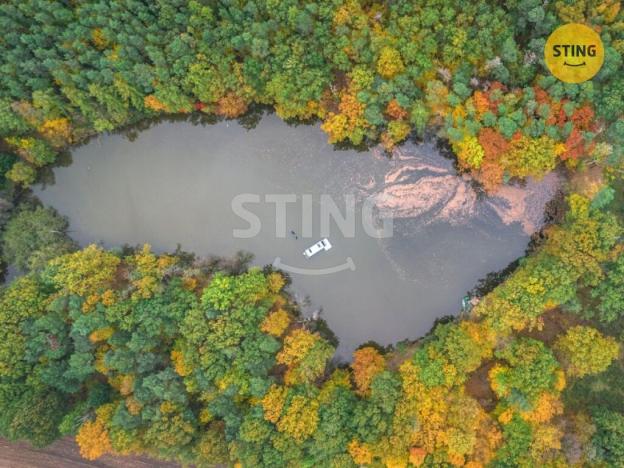 Prodej rybníku, Dolní Roveň - Litětiny, 42553 m2