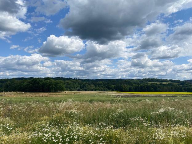Prodej pozemku pro bydlení, Odrava - Dobroše