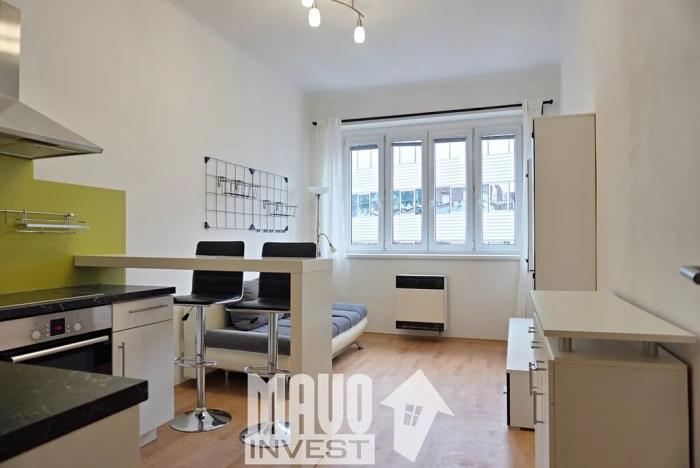 Pronájem bytu 2+kk, Praha - Nusle, Doudlebská, 47 m2