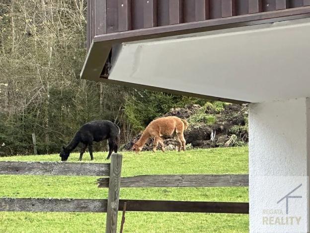 Prodej bytu 3+1, Bad Kleinkirchheim, Rakousko, Maibrunnenweg, 63 m2