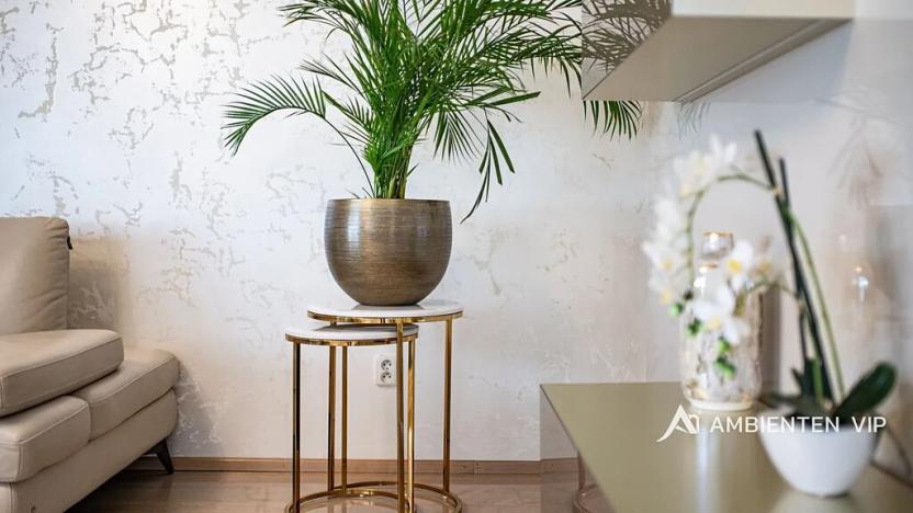 Prodej rodinného domu, Moravany, V Jámách, 320 m2