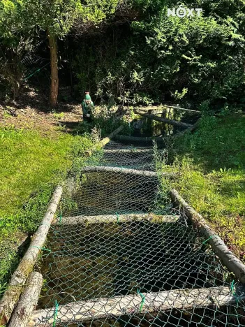 Prodej chalupy, Stružinec, 70 m2