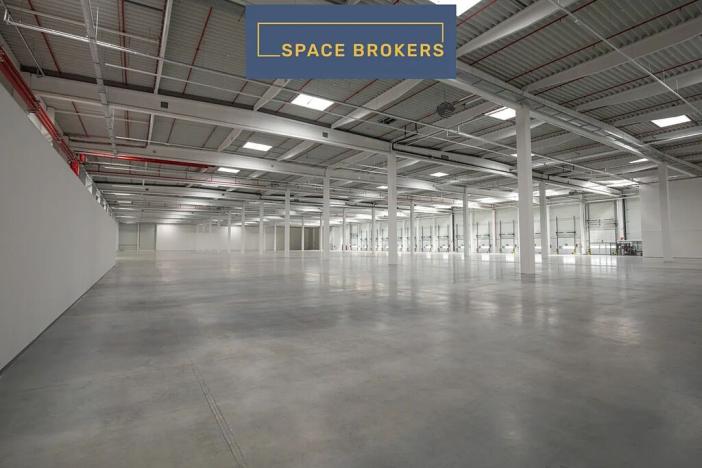 Pronájem skladu, Ostrava, 5195 m2