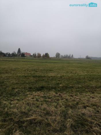 Prodej podílu 1/2 louky, Stanovice, 15437 m2