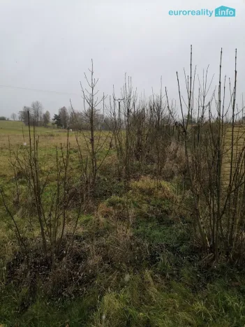 Prodej podílu 1/2 louky, Stanovice, 15437 m2