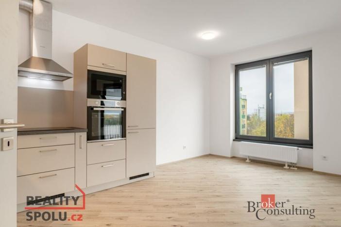 Pronájem bytu 2+kk, Plzeň, Goldscheiderova, 52 m2