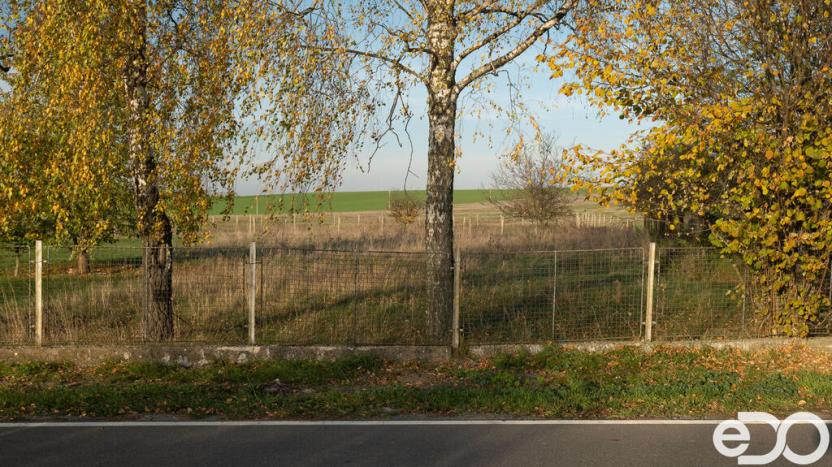 Prodej pozemku pro bydlení, Opočno - Čánka, 1021 m2