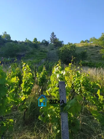 Prodej zahrady, Viničné Šumice, 942 m2