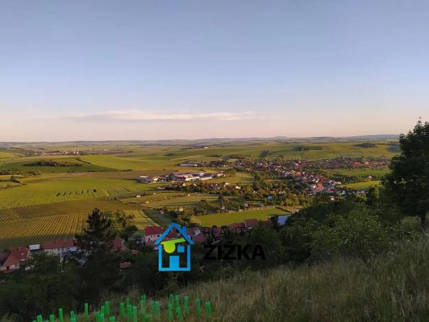 Prodej zahrady, Viničné Šumice, 942 m2