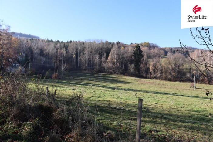 Prodej louky, Brloh, 2808 m2