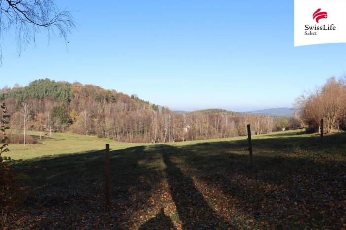 Prodej louky, Brloh, 2808 m2