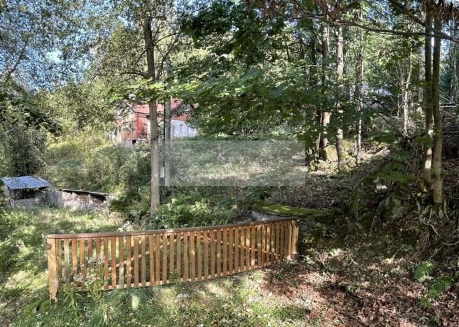 Prodej chalupy, Tanvald - Šumburk nad Desnou, 205 m2