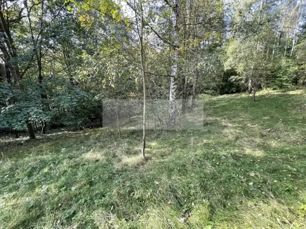 Prodej chalupy, Tanvald - Šumburk nad Desnou, 205 m2