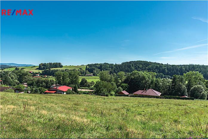 Prodej louky, Letohrad, 1658 m2