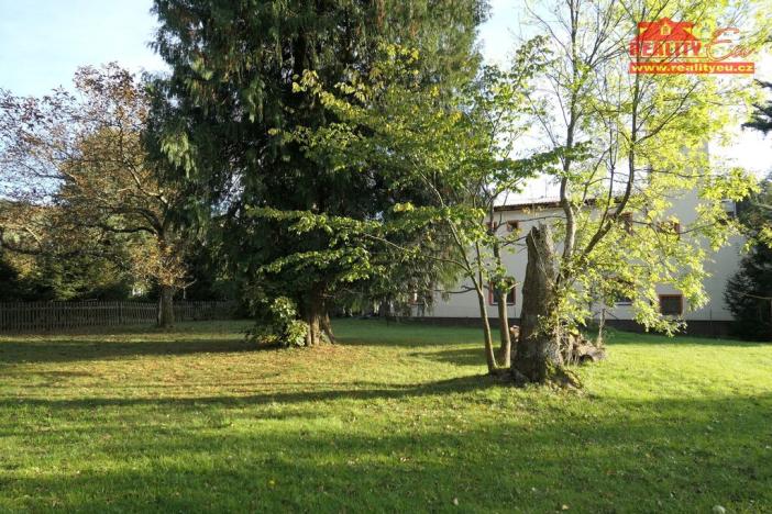 Prodej pozemku pro bydlení, Olešnice v Orlických horách, 1100 m2