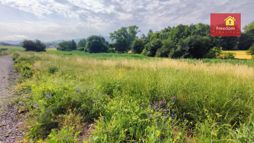 Prodej pozemku pro bydlení, Bžany, 2100 m2