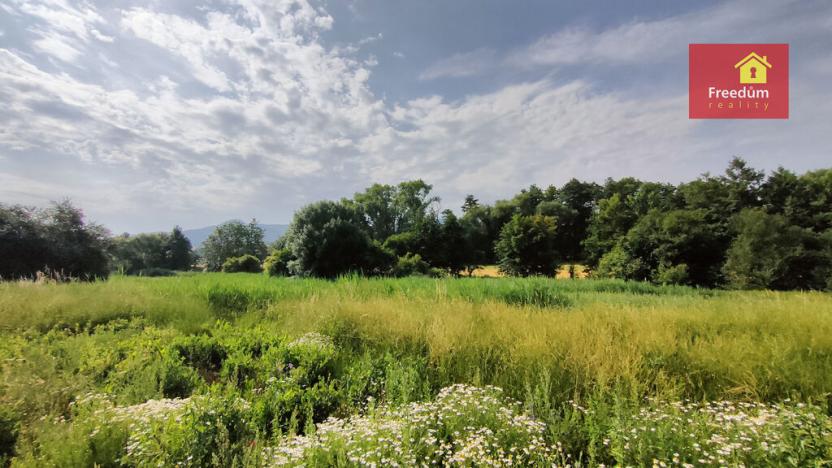 Prodej pozemku pro bydlení, Bžany, 2100 m2