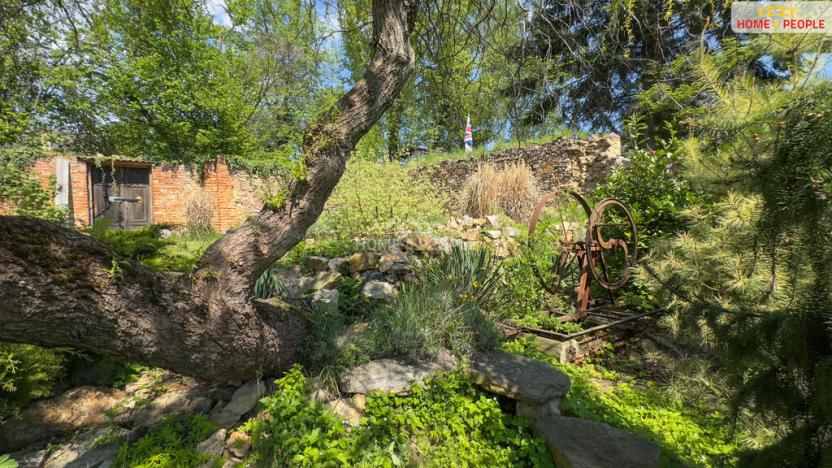 Prodej rodinného domu, Číčenice - Strpí, 220 m2