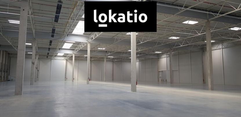 Pronájem skladu, Ostrov, 38800 m2