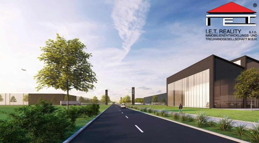 Pronájem komerčního pozemku, Planá, 1303200 m2