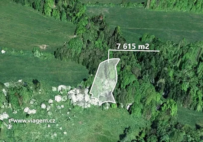 Prodej podílu lesa, Heřmanov, 2538 m2