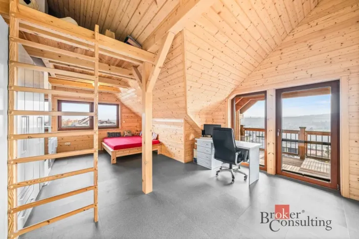 Prodej rodinného domu, Tachov, Na Třešňovce, 428 m2
