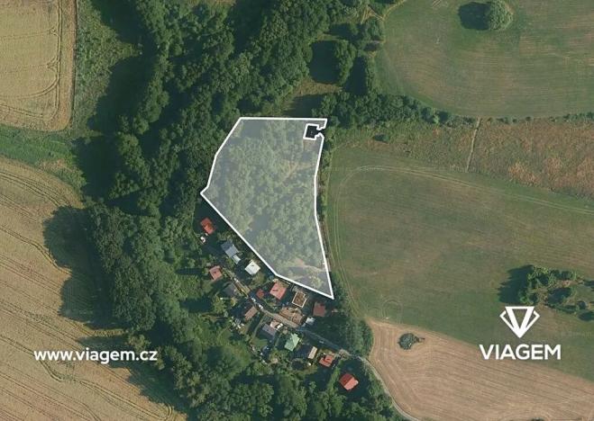 Prodej podílu lesa, Kostelec u Křížků, 651 m2