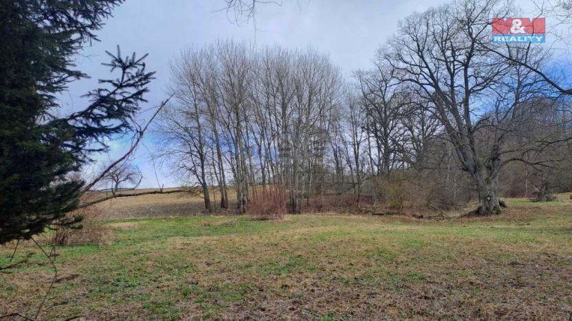 Prodej pozemku pro bydlení, Vikantice, 1968 m2