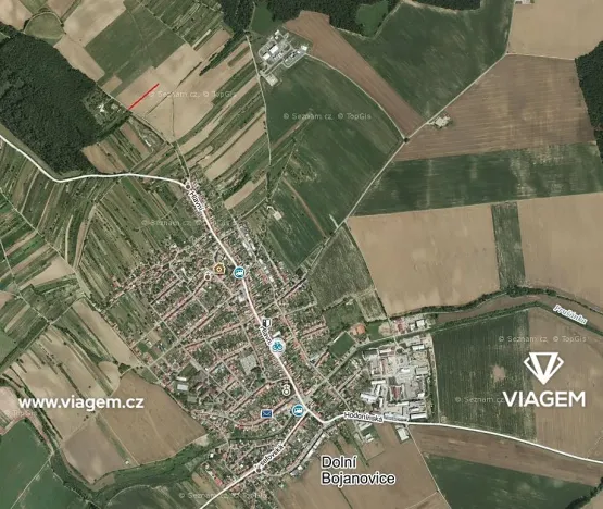 Prodej podílu sadu/vinice, Dolní Bojanovice, 167 m2