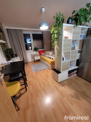 Pronájem bytu 1+kk, Brno, Horácké náměstí, 28 m2