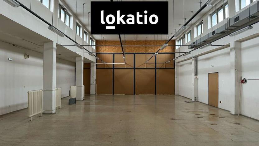 Pronájem skladu, Praha - Hostivař, V Chotejně, 250 m2