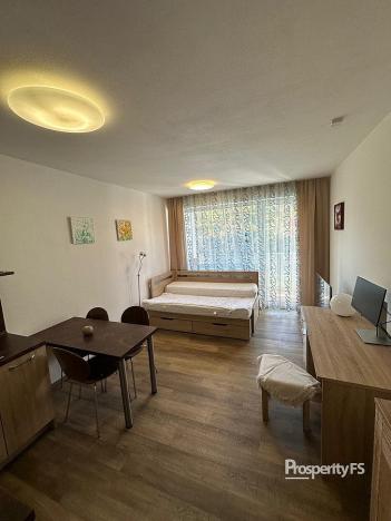 Pronájem bytu 1+kk, Brno - Štýřice, Vídeňská, 26 m2