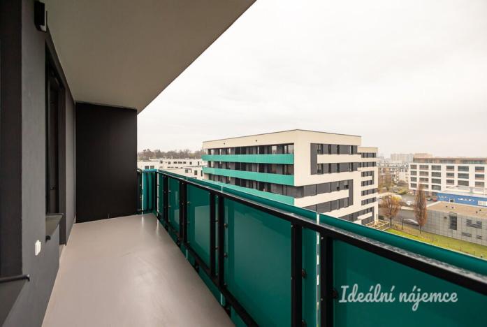 Pronájem bytu 1+kk, Praha - Žižkov, Olgy Havlové, 32 m2