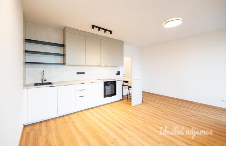 Pronájem bytu 1+kk, Praha - Žižkov, Olgy Havlové, 32 m2